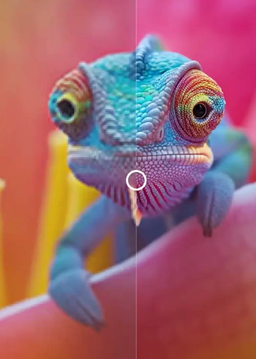 Let’s Enhance AI for graphic design ; An image of a chameleon used as comparison to blurry and enhanced image. Photo by : Let's Enhance